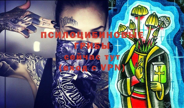 дживик Ладушкин