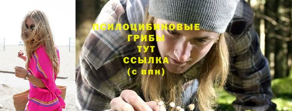 хмурый Лиски